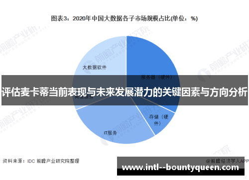 评估麦卡蒂当前表现与未来发展潜力的关键因素与方向分析