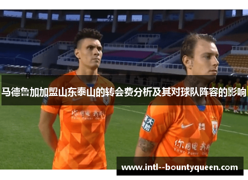马德鲁加加盟山东泰山的转会费分析及其对球队阵容的影响